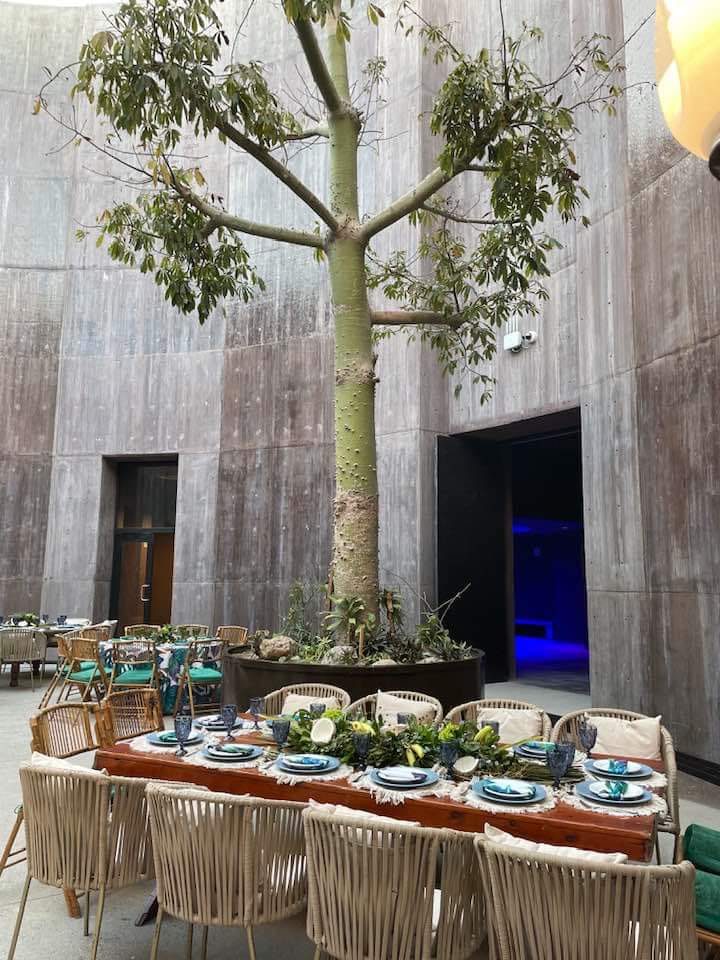 Fiesta privada viene a ensuciar más al Acuario de Mazatlán, asegura el director Pablo Gerardo Rojas