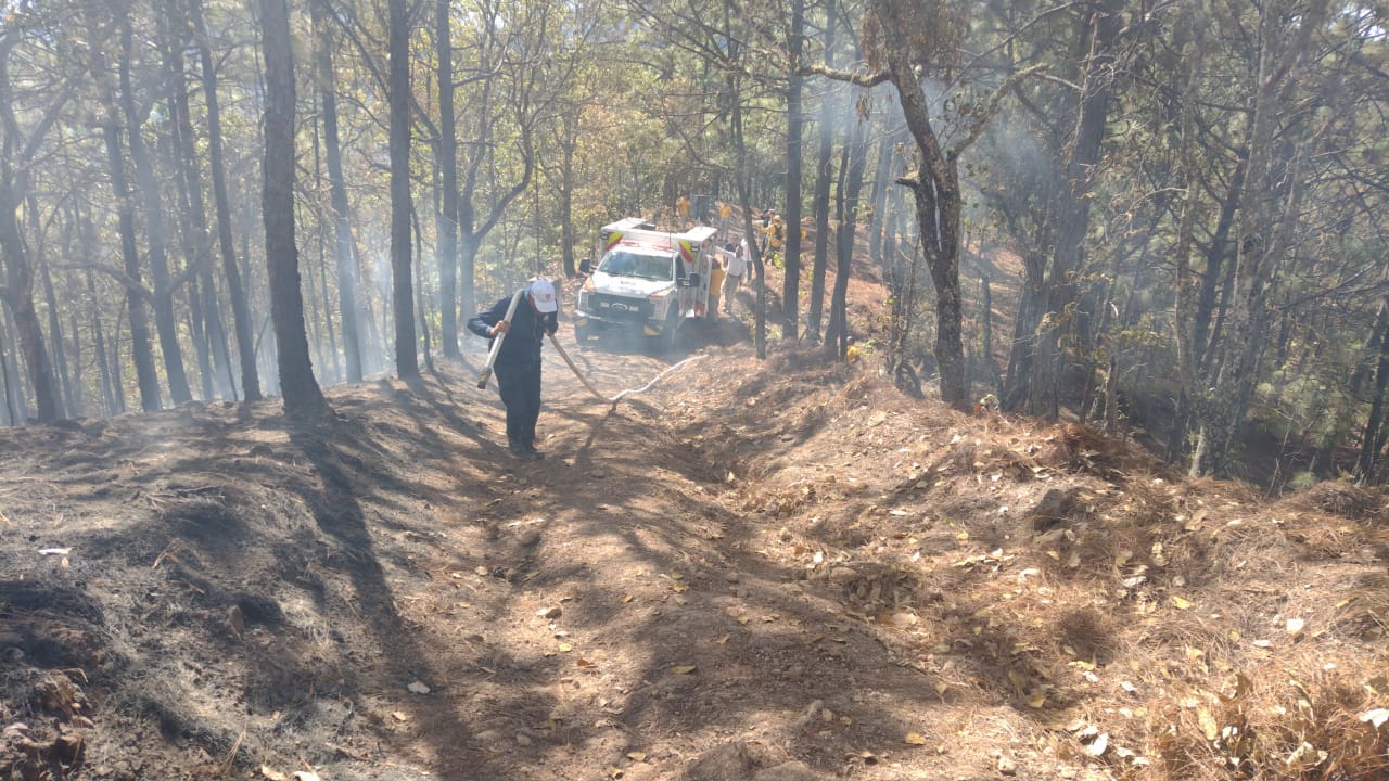 Incendio forestal en Concordia está controlado; instalan sesión permanente de Comité de Protección Forestal
