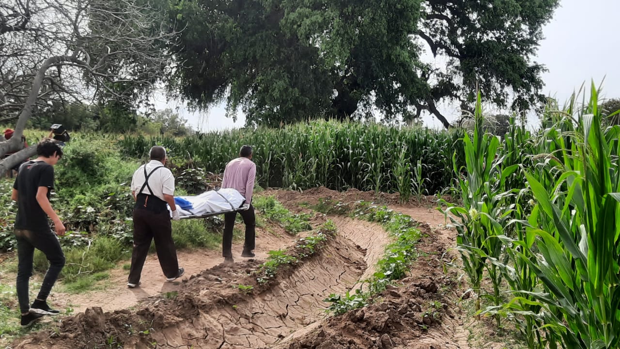 Localizan a un hombre sin vida en el interior de una milpa en Las Crucecitas, Guasave