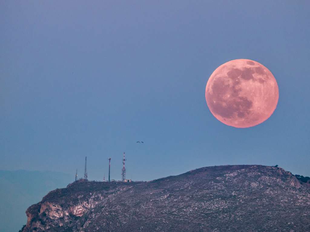 ¡Es una belleza y trae suerte! No te pierdas la Luna Rosa de abril