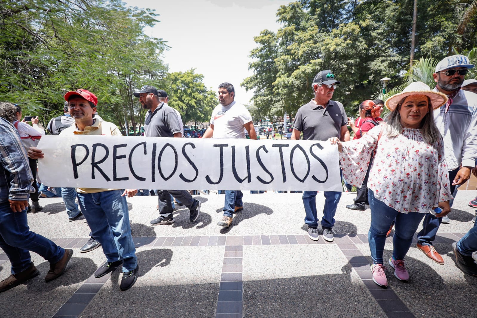 ¡PRECIOS JUSTOS! Con todo y tractores, cientos de productores de Sinaloa llegan a Palacio en Culiacán