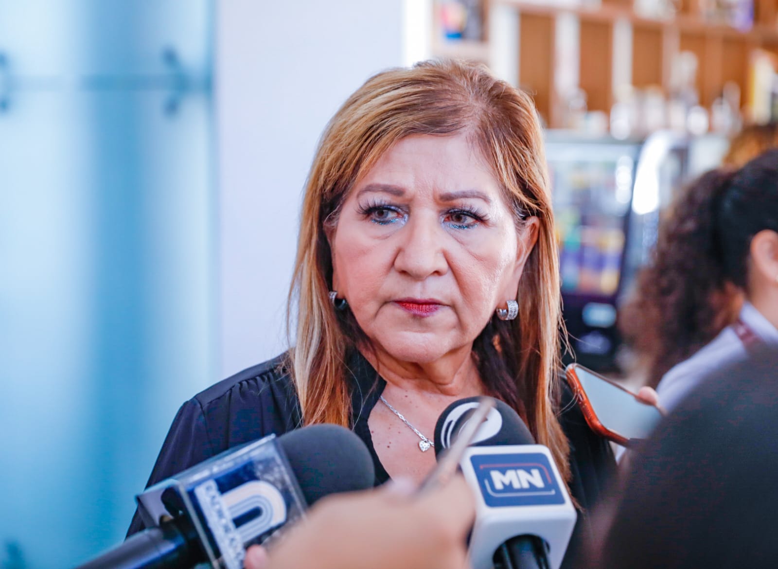 Zona norte ha concentrado casos graves de feminicidios: Tere Guerra