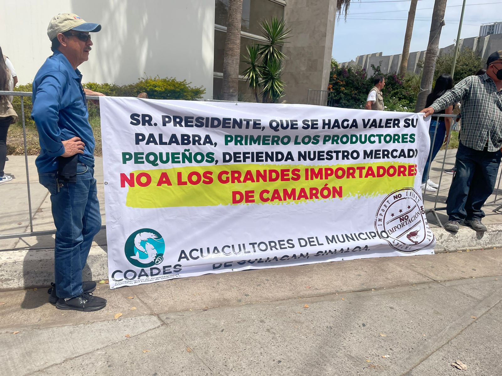 ¡Atención acuacultores! México no entrará al TLC con Ecuador; se prohibirá la entrada del camarón a México