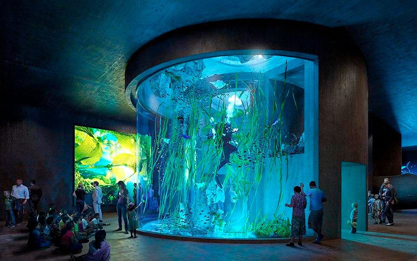 Recibirá Ayuntamiento casi 18 mdp por año por entradas del Nuevo Acuario de Mazatlán durante los 28 años de concesión