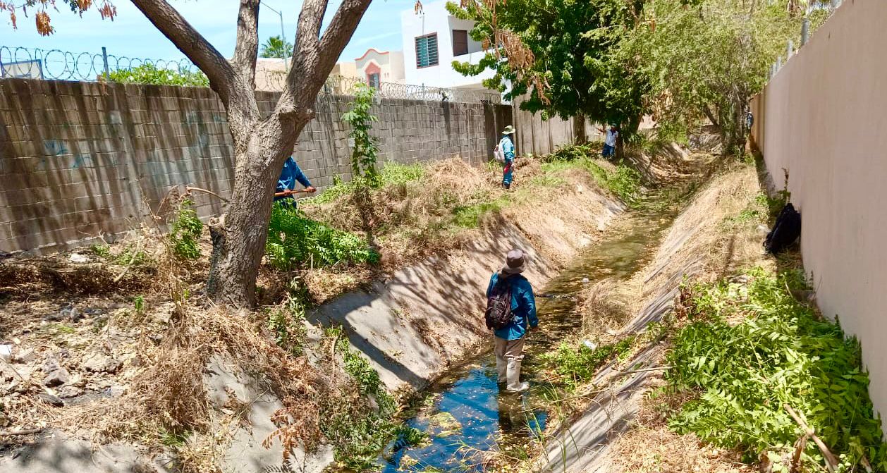 Obras Públicas comienza el desazolve de canales y continúa regeneración de calles en Mazatlán