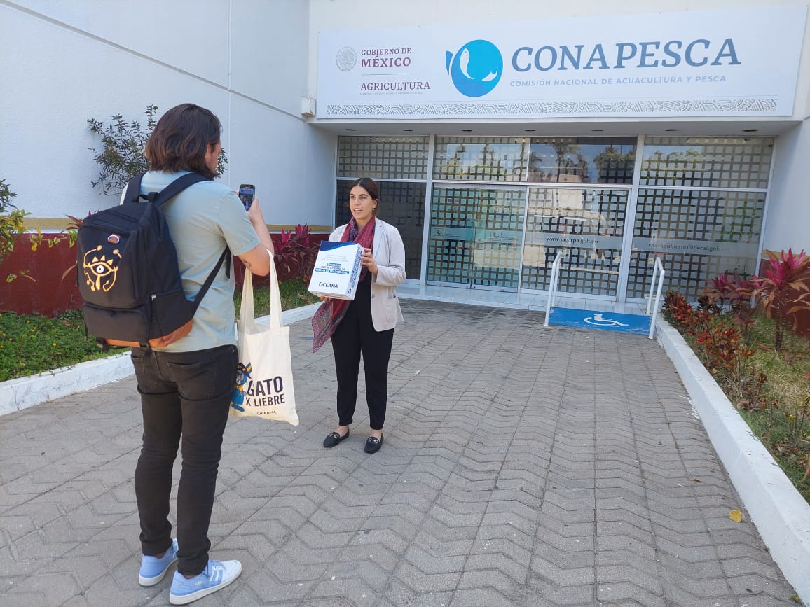 Oceana exige con firmas a Conapesca aplicación de la norma de Trazabilidad
