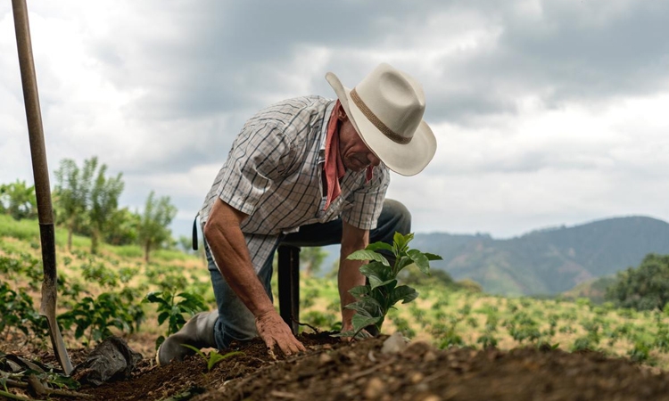Gobierno federal busca extinguir la Financiera Rural por esta razón ¿podrán productores acceder a apoyos?