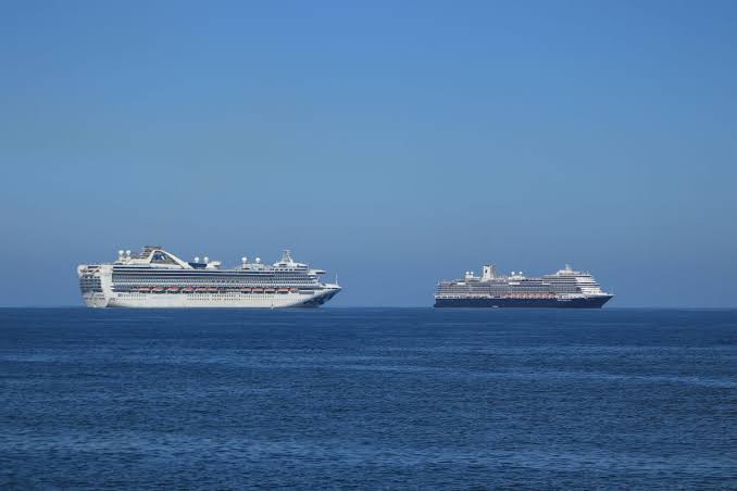 Que a Topolobampo regresen los cruceros y Mazatlán tengan nuevas rutas navieras a partir de la FCCA: Estrella Palacios