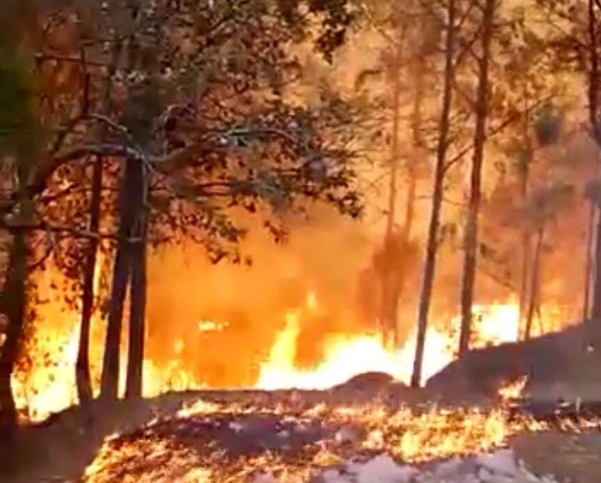 Quema de parcelas, pudo haber provocado incendio en Concordia: Protección Civil