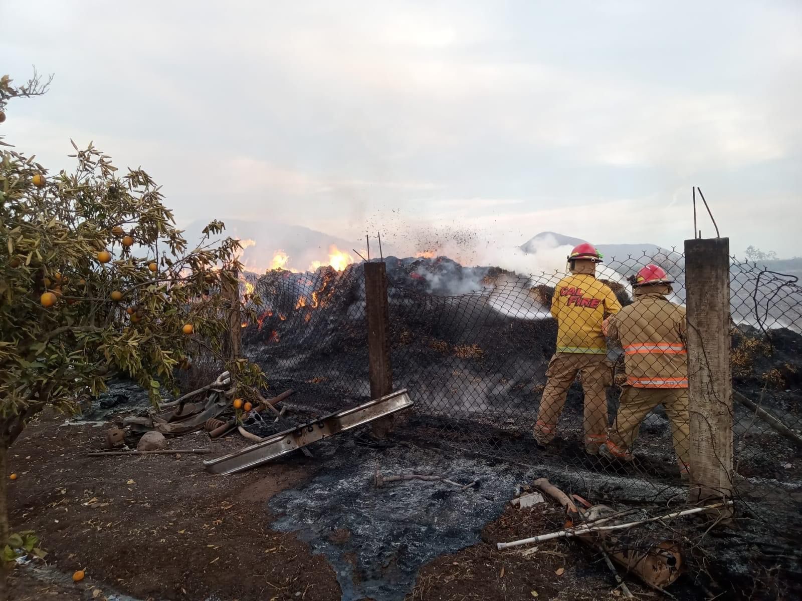 Quemas de maleza traen en ‘jaque’ a Bomberos Guamúchil; llaman a sumarse a la prevención