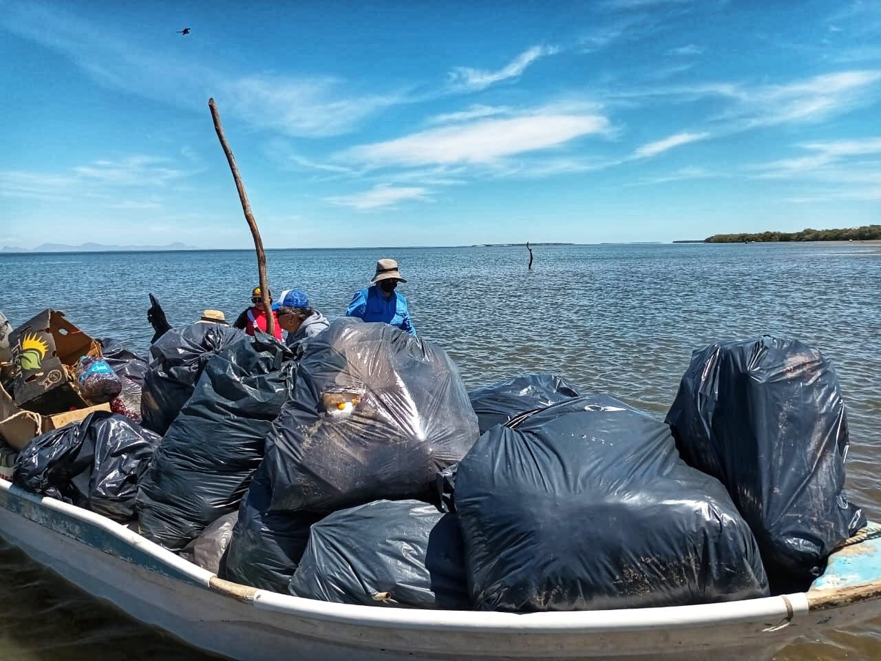 Recolectan más de 30 toneladas de basura de islas y parajes en la Bahía Santa María, en Angostura