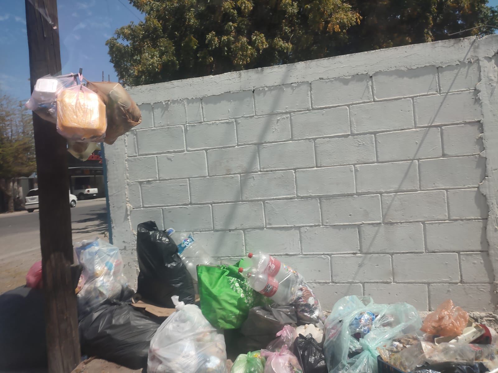 Se desconoce cuántas toneladas de basura dejaron de recoger y las colonias afectadas: Servicios Públicos