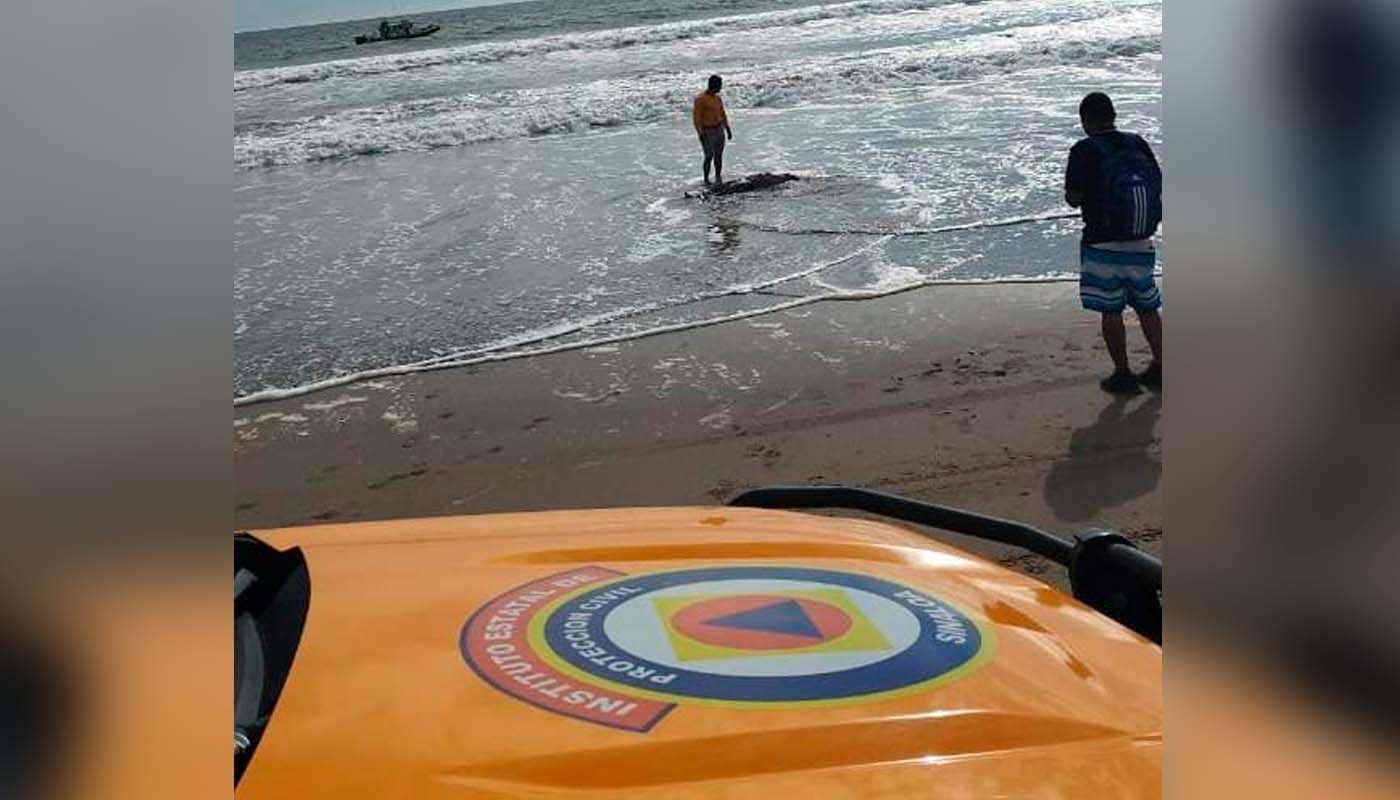 Vendedor de playa se pierde en el mar, lo encuentran sin vida en El Caimanero, Rosario