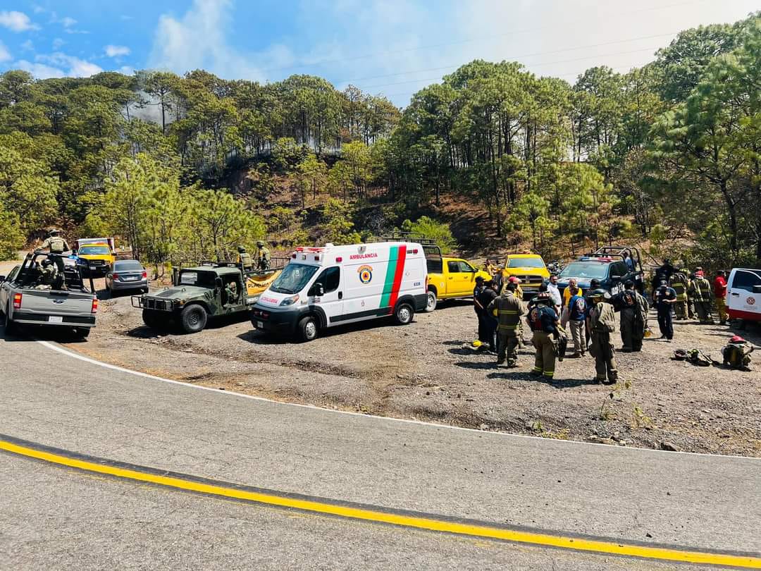 Confía alcalde que se investigará origen de mega incendio en Concordia que acabó con 100 has de bosque