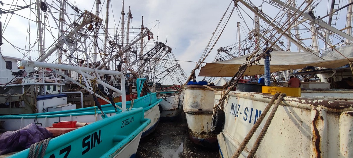 En la mira de organismos internacionales el cementerio de barcos de Mazatlán en el Bonfil 