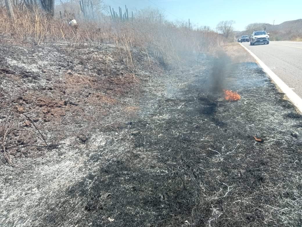 ¡Ni colillas, ni fogatas! Registra el sur de Sinaloa dos incendios de gran magnitud en carretera esta Semana Santa
