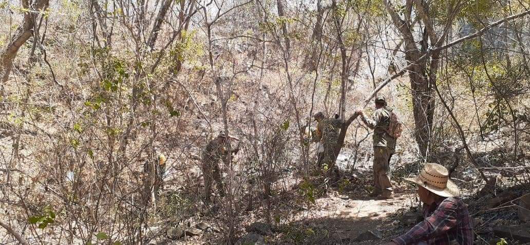 Desde el jueves inició el incendio en el cerro del Cazanate, Sinaloa; alcalde descarta riesgo para la población