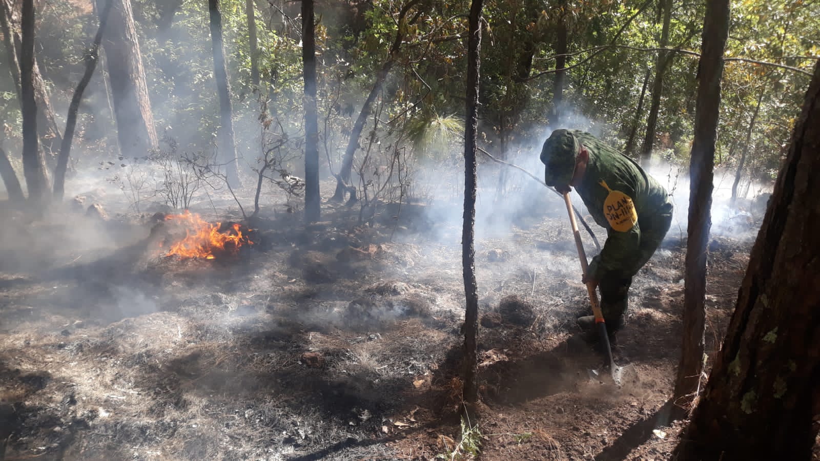 Refugian en El Palmito y El Batel a los evacuados por incendio en Las Loberas, Concordia