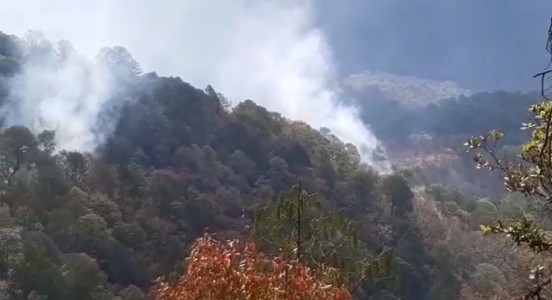 ‘Está muy fea la lumbre otra vez’, arde de nuevo sierra de Concordia, moviliza a unas 50 personas