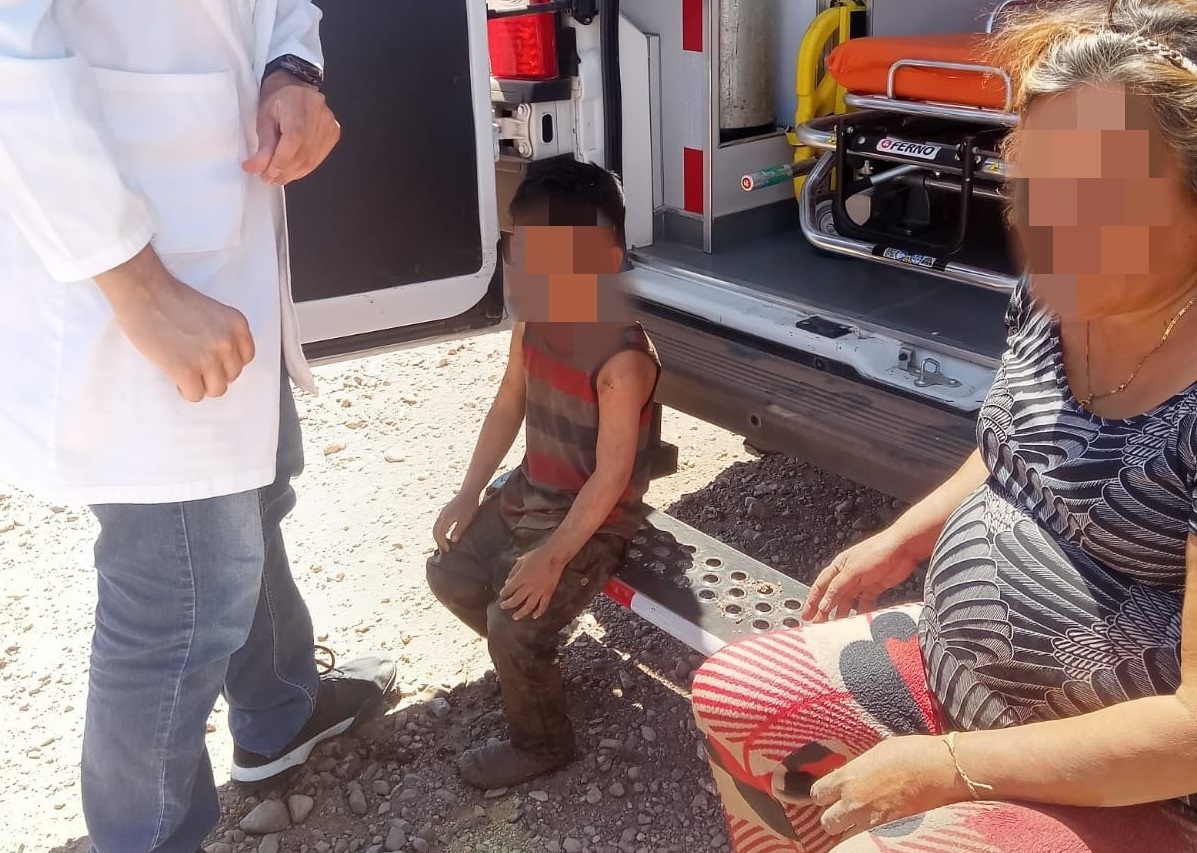 Abejas atacan a una familia de nueve personas en Angostura; convivían debajo de un árbol