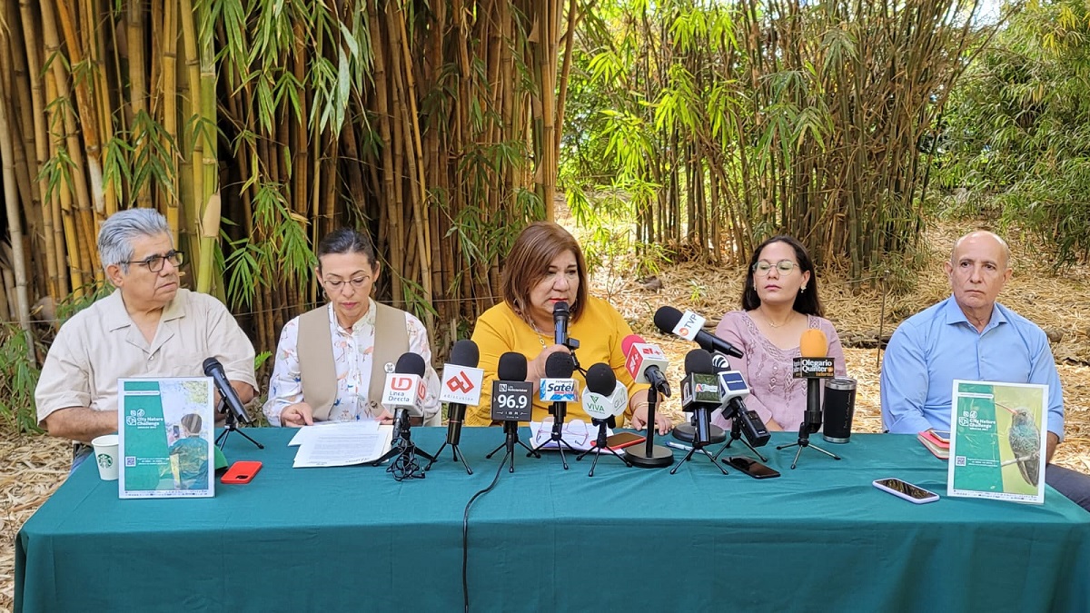 Conviértete en un observador de la naturaleza, Sebides lanza Reto Naturalista Urbano 2023