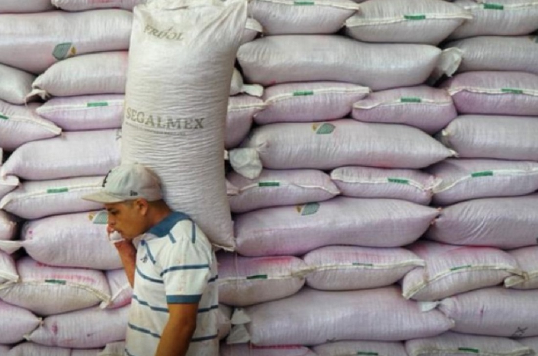¡Atención productores! Abre Segalmex plataforma para primeros registros de apoyos para maíz: AARSP