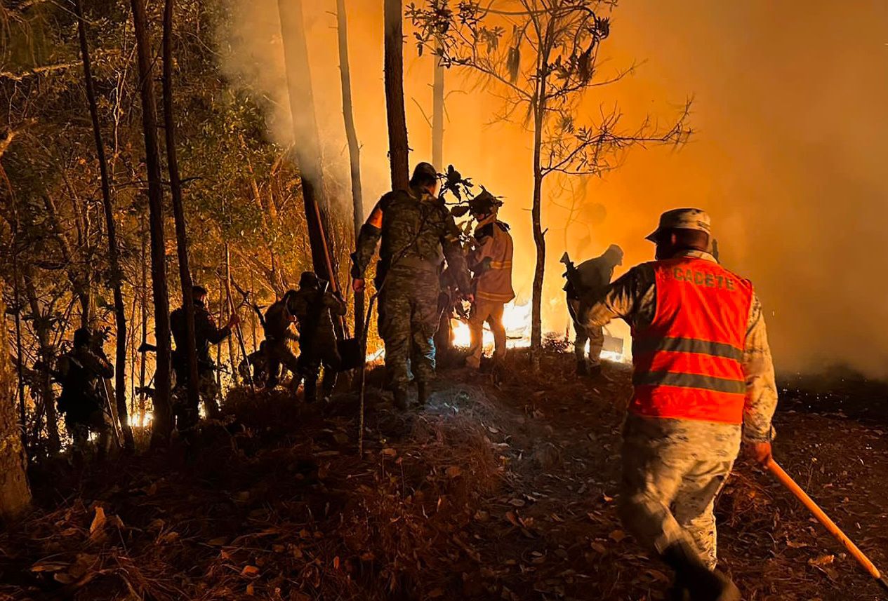 Ecología lanza un llamado y recomendaciones para prevenir incendios forestales