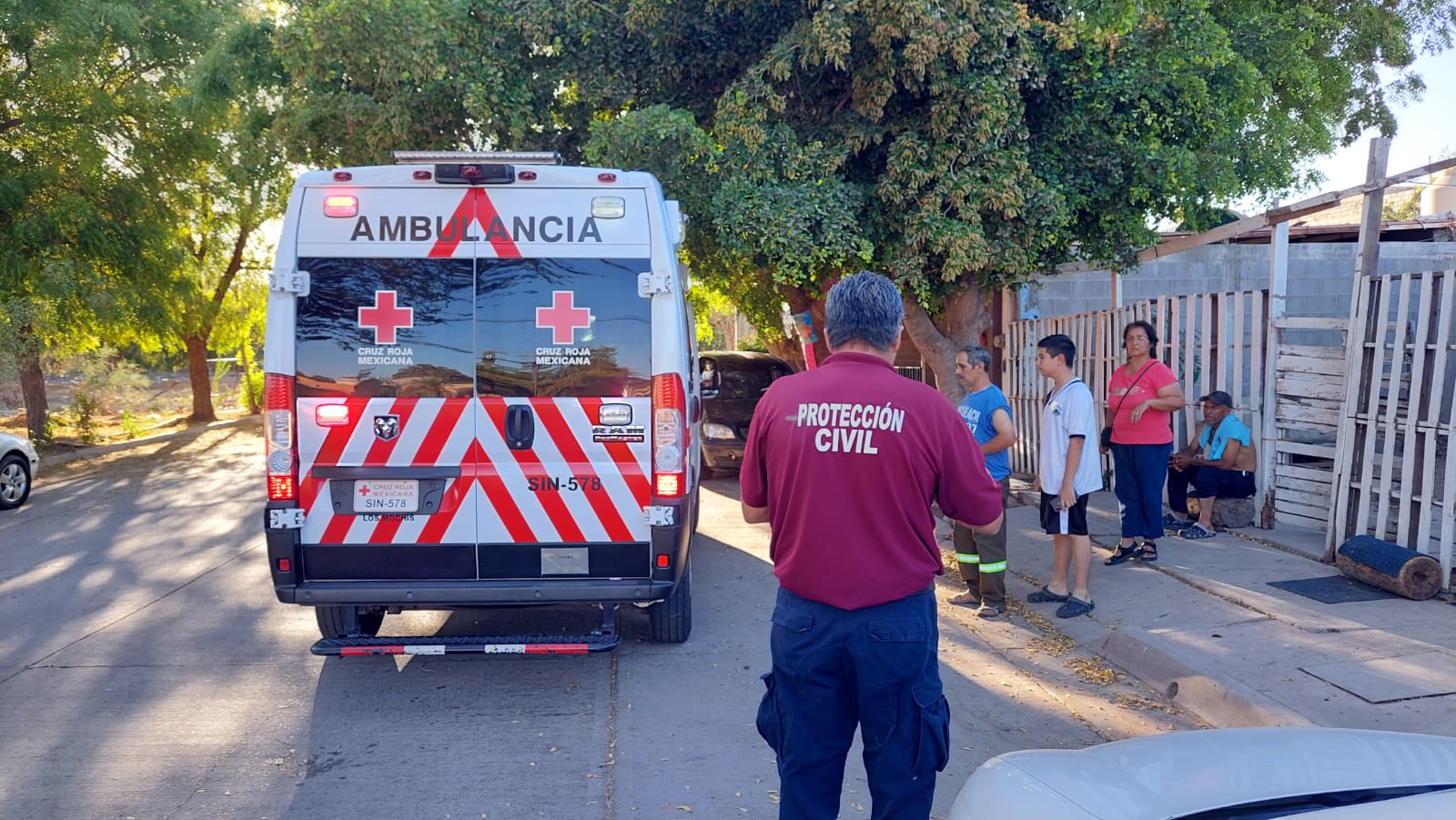 Abejas atacan a dos personas en el fraccionamiento Álamos Country en Los Mochis