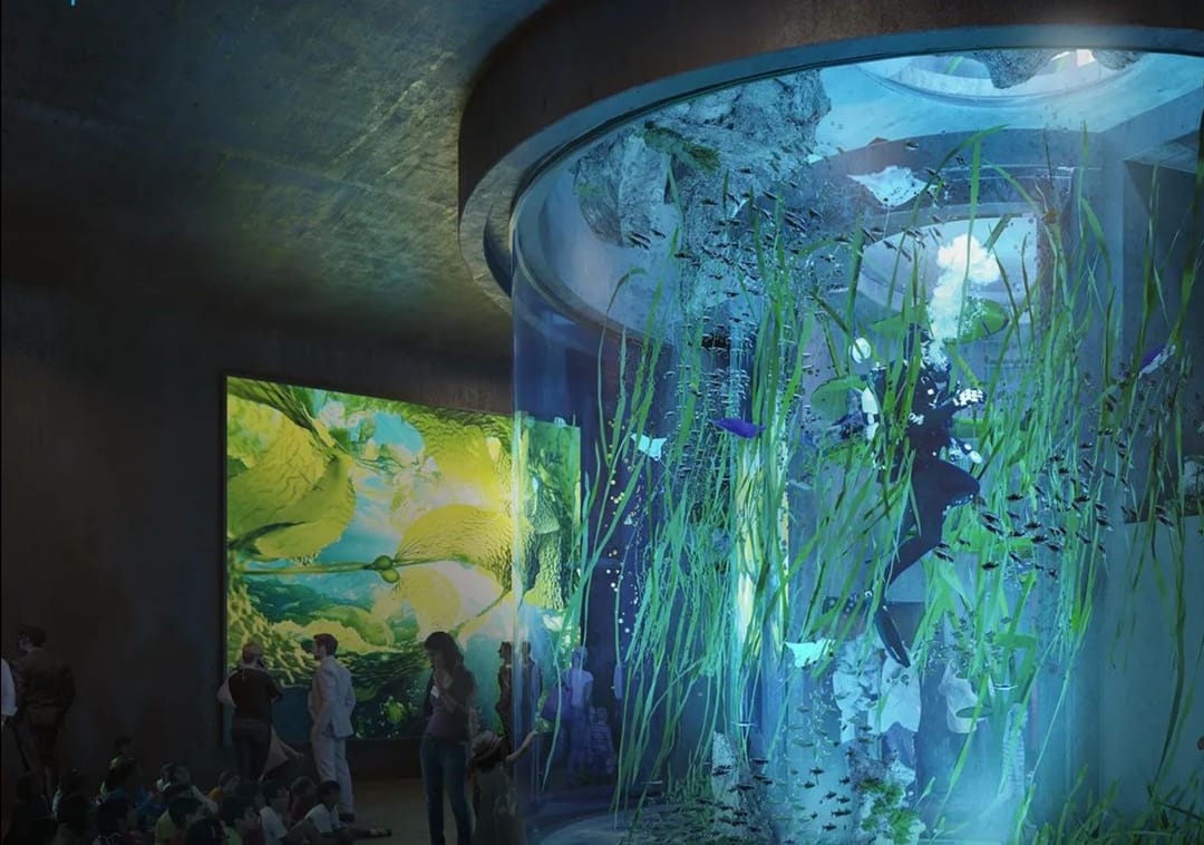 Aún está en el aire la apertura del Nuevo Acuario: siguen negociaciones e inventarios