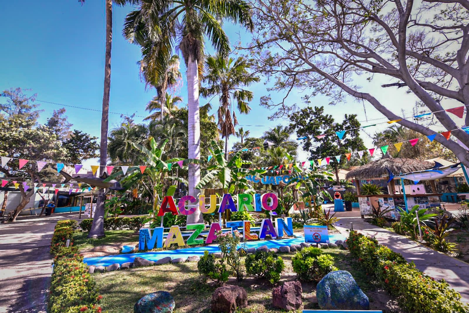Adiós al Acuario Mazatlán; queda en la memoria de cientos de mazatlecos y turistas: Édgar González