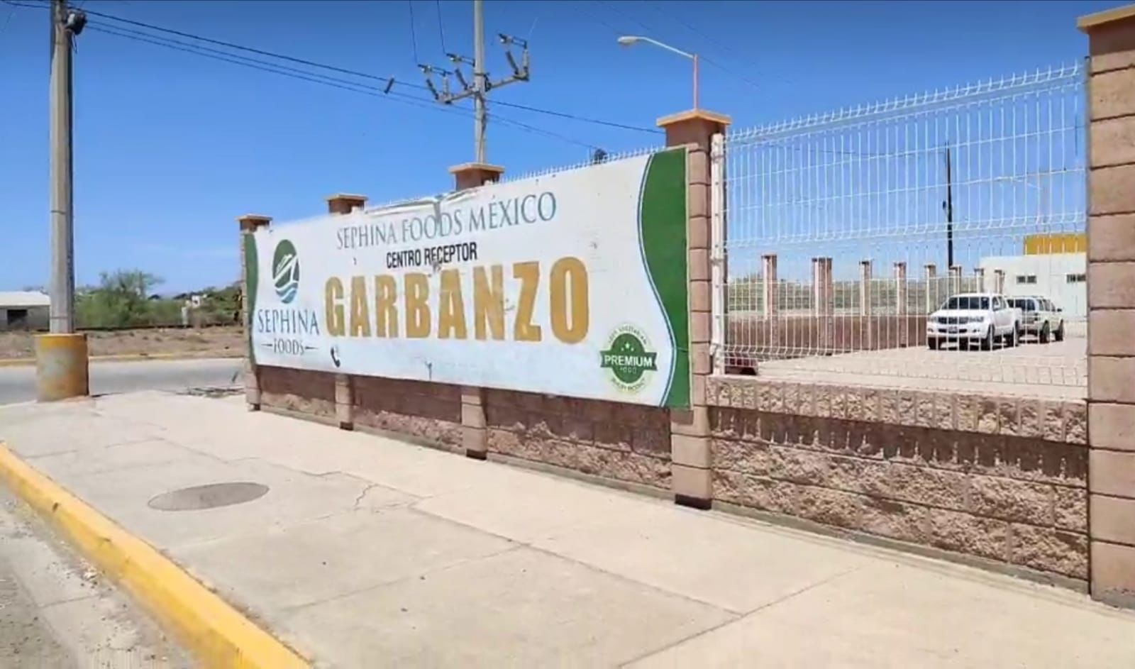 Ahora son los productores de garbanzo; exigen a la empresa Sephina Foods el pago de sus cosechas