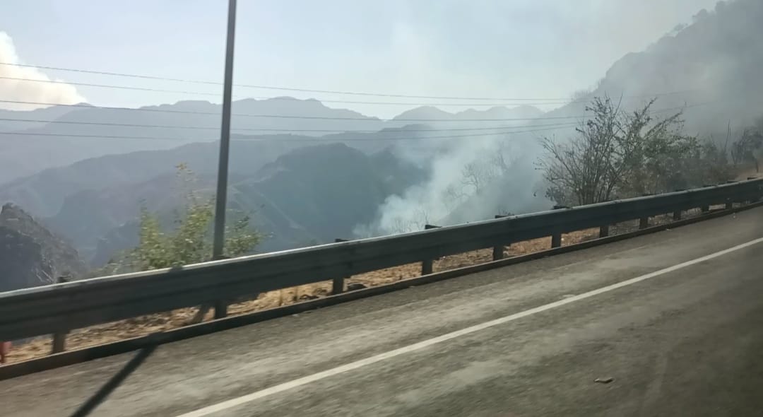 Arde bosque en sierra entre Durango y Sinaloa, columna de humo sobresale carretera