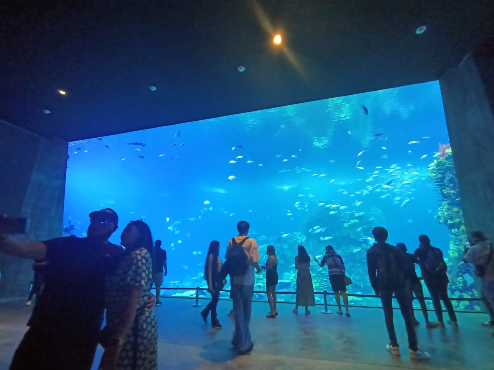 ‘Importa crear desarrollo regional’; defiende Torruco inversión de 600 mdp al Nuevo Acuario Mazatlán