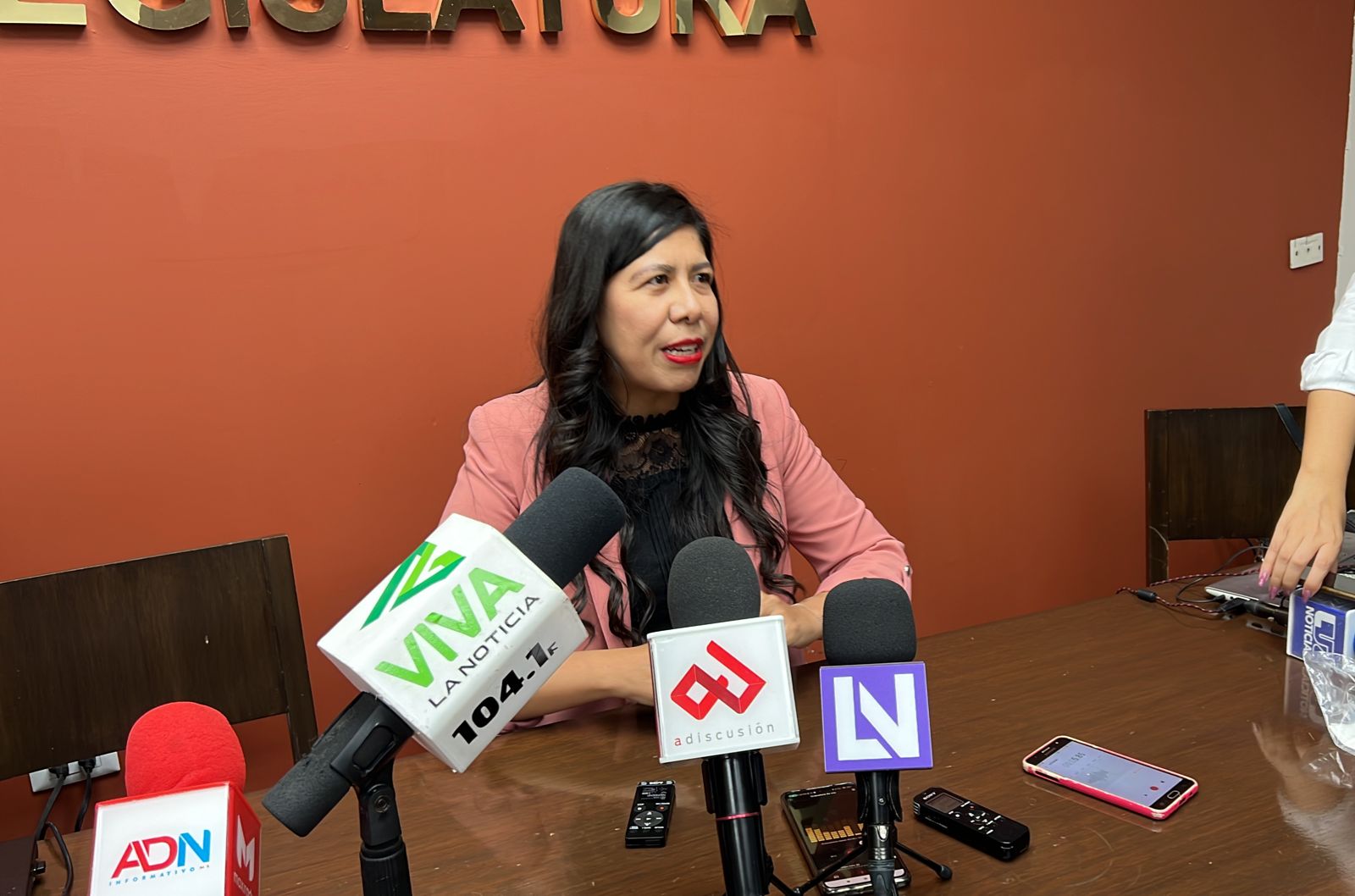 Se separa Deysi Ayala de la bancada del PRI en el Congreso; sus iniciativas ‘no pasaban’