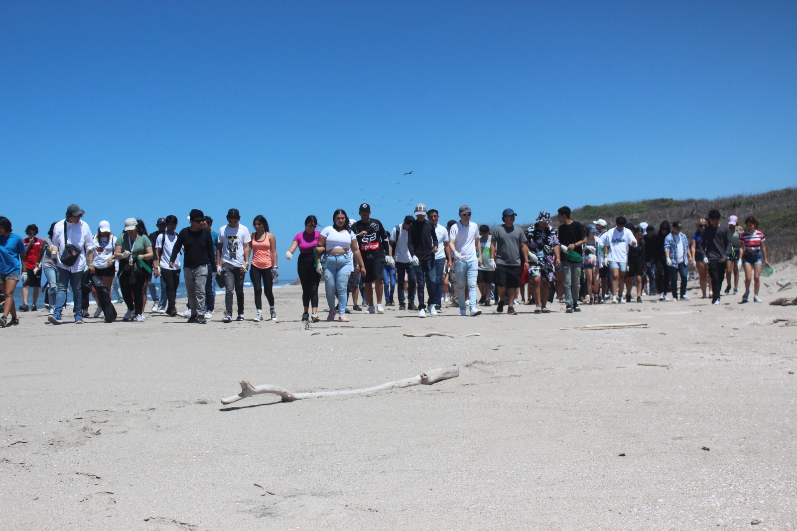 Con limpieza de playa en El Verde Camacho, celebran el Día Internacional de la Diversidad Biológica en Mazatlán