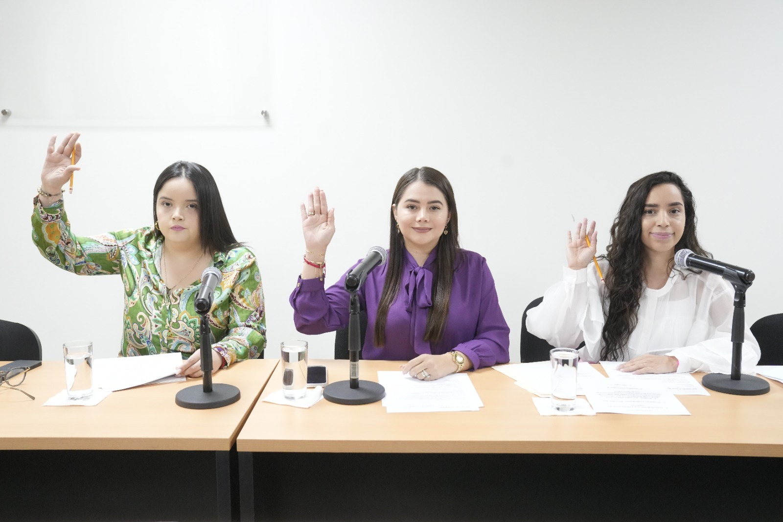 Diputadas aprueban que Comisión de Juventud del Congreso se integre a la Junta Directiva del ISDE