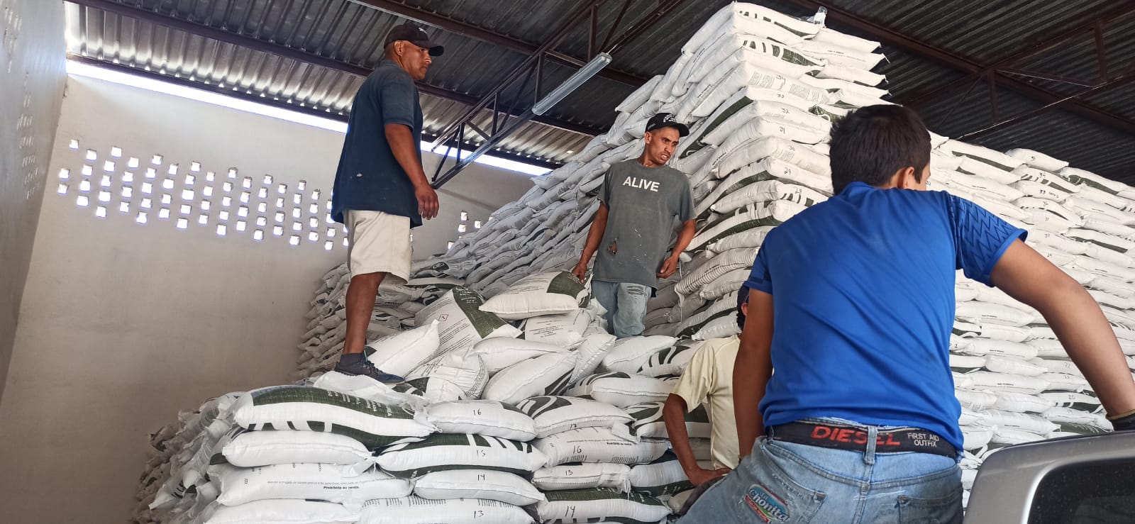 Encarga AMLO a Rocha revisar que apoyos de fertilizantes llegue a quien debe llegar, en Sinaloa