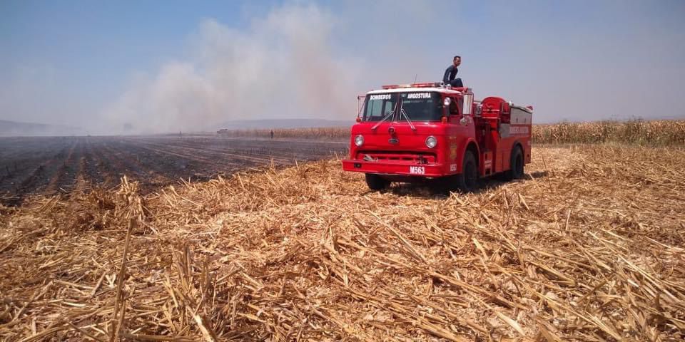 Suman 500 hectáreas dañadas en El Carrizo a consecuencia de la quema de soca