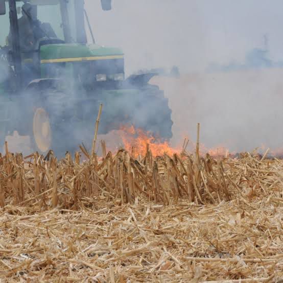 Atento Ayuntamiento para evitar quema de soca en campos agrícolas; concientizan a productores