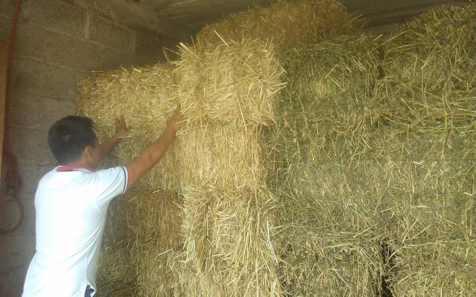 Llevarán insumos para ganado a Escuinapa, invitan a aplicar al programa estatal