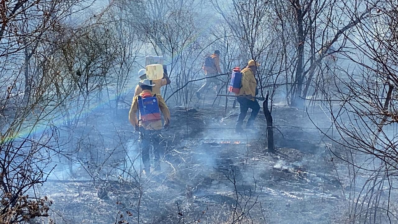 Este año se han registrado 24 incendios forestales en Sinaloa, todos están controlados: Protección Civil