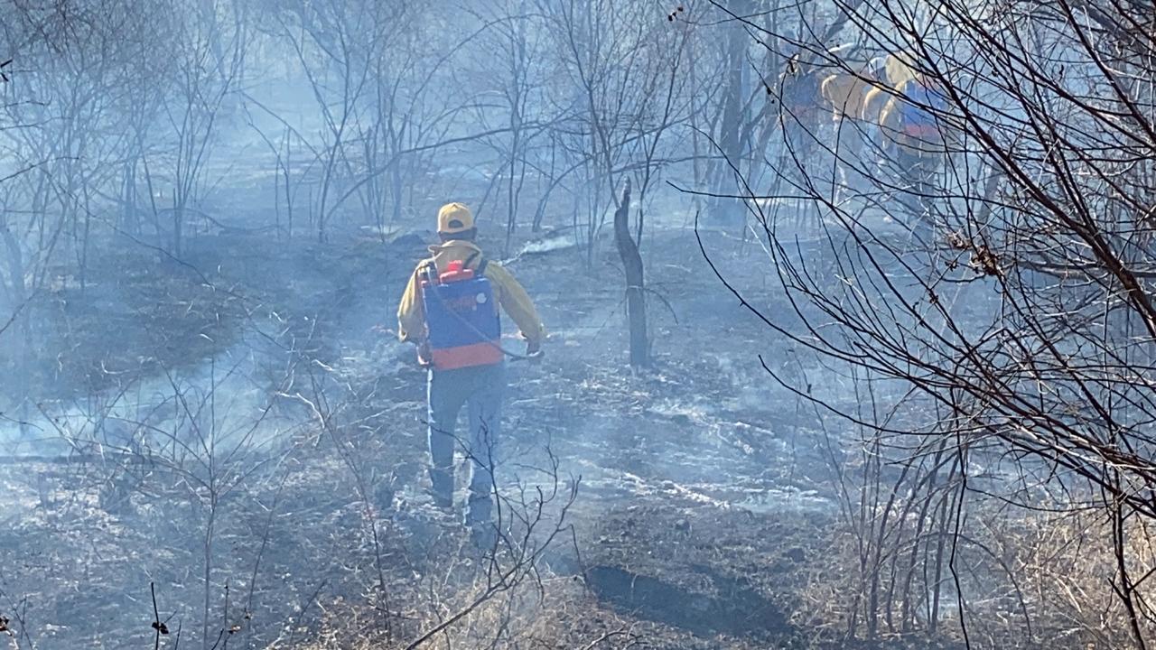 Productores en San Ignacio se enfrentan a temporal de mermas e incendios forestales