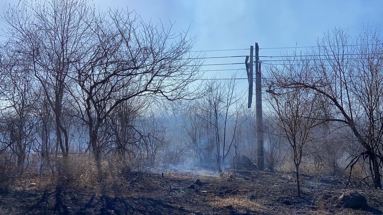 Se quedan sin luz, ni comunicación en Badiraguato por casi 8 horas; incendio forestal quemó postes de la CFE