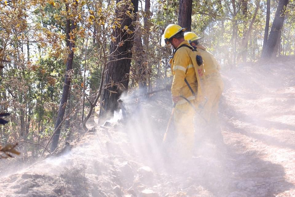 Llaman autoridades a evitar incendios forestales; en 2023 se han registrado 19 en seis municipios de Sinaloa