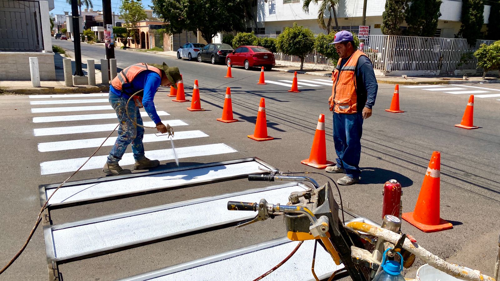 Obras Públicas continúa con el pintado de cruces peatonales para mejorar la vialidad en Mazatlán