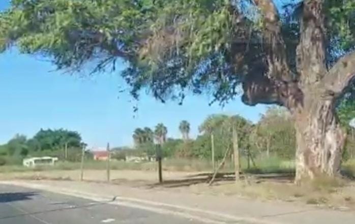 Nadie tiene permisos para cercar terrenos de la alameda Rosales: Ayuntamiento de Ahome