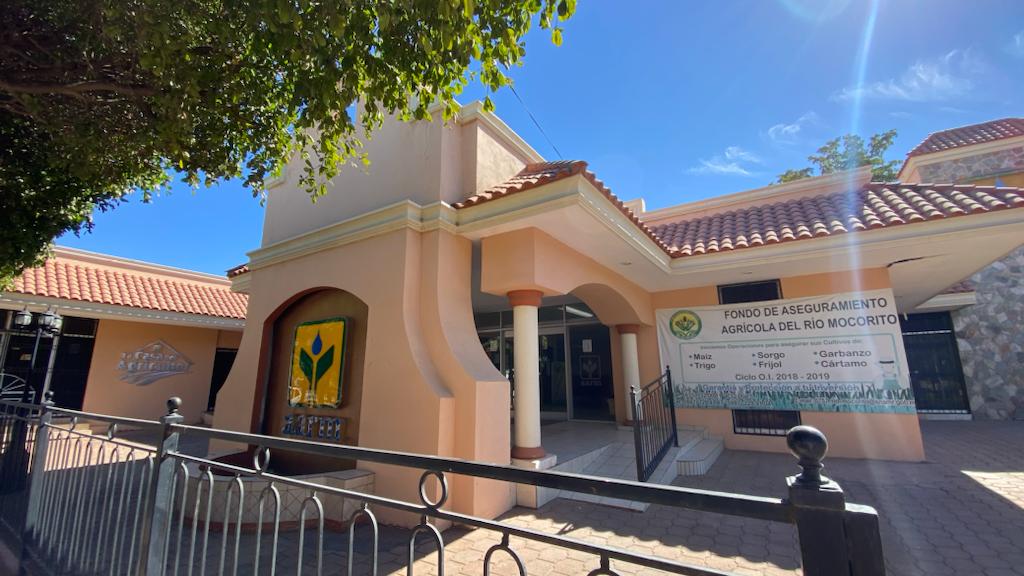 Piden productores que tomen en cuenta todas las bodegas para recibir las cosechas; las de la AARM no fue tomada en cuenta