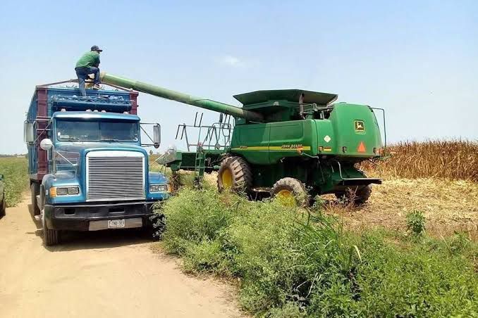 Piden transportistas de carga de la región del Évora que se vigile la piratería en esta temporada de trillas