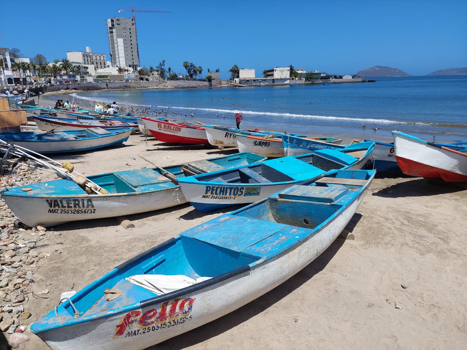 ‘Se pesca muy poco’; Playa Norte reporta bajas capturas tras temporada del ‘pajarito’