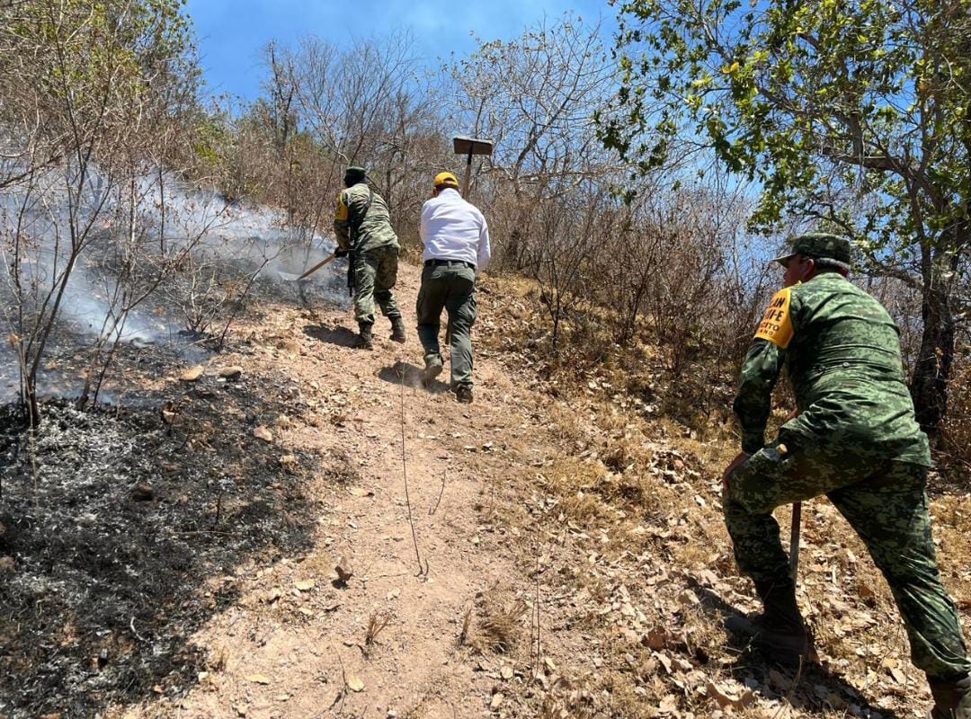 Se reactivan labores en El Magistral este sábado aunque el fuego aún no cede, evacuados ya regresaron a su hogar
